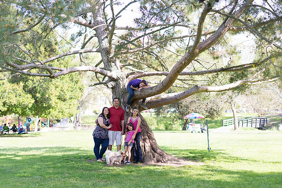 Roseville, California, dan strandt photography isoawesome.com wedding bride groom portrait family married Sacramento yuba folsom rancho elk grove