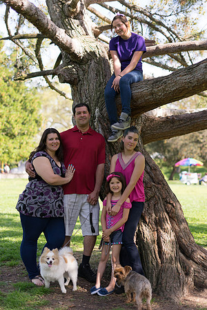 Roseville, California, dan strandt photography isoawesome.com wedding bride groom portrait family married Sacramento yuba folsom rancho elk grove
