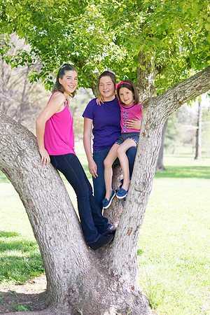 Roseville, California, dan strandt photography isoawesome.com wedding bride groom portrait family married Sacramento yuba folsom rancho elk grove
