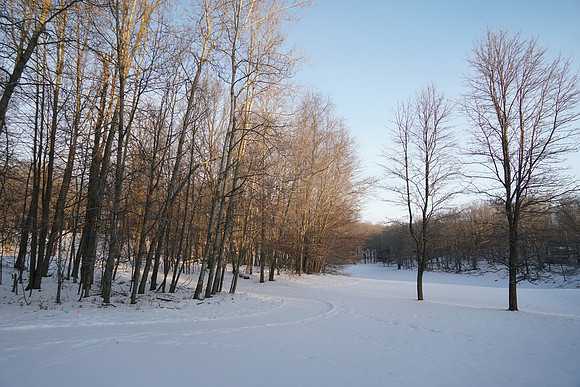 DSC01146