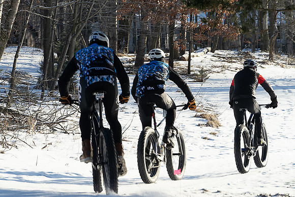 DAN02010