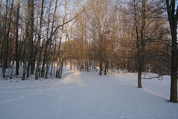 DSC01147
