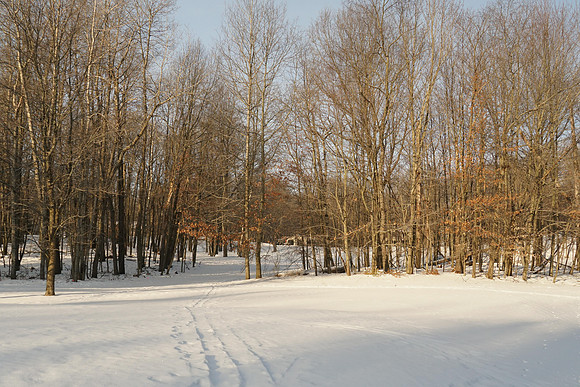 DSC01186