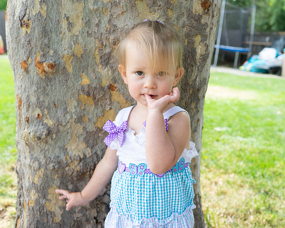Roseville, California, dan strandt photography isoawesome.com wedding bride groom portrait family married Sacramento yuba folsom rancho elk grove