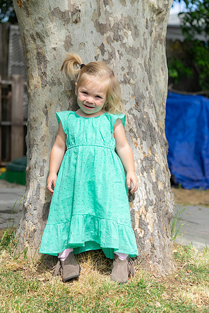 Roseville, California, dan strandt photography isoawesome.com wedding bride groom portrait family married Sacramento yuba folsom rancho elk grove