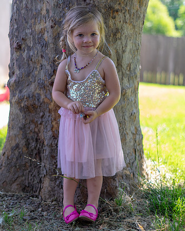 Roseville, California, dan strandt photography isoawesome.com wedding bride groom portrait family married Sacramento yuba folsom rancho elk grove