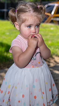 Roseville, California, dan strandt photography isoawesome.com wedding bride groom portrait family married Sacramento yuba folsom rancho elk grove
