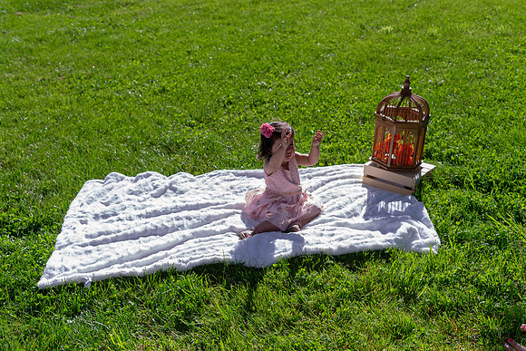 Roseville, California, dan strandt photography isoawesome.com wedding bride groom portrait family married Sacramento yuba folsom rancho elk grove
