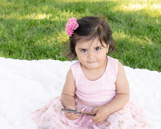Roseville, California, dan strandt photography isoawesome.com wedding bride groom portrait family married Sacramento yuba folsom rancho elk grove