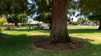 Roseville, California, dan strandt photography isoawesome.com wedding bride groom portrait family married Sacramento yuba folsom rancho elk grove