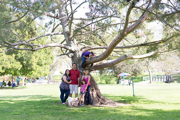 Roseville, California, dan strandt photography isoawesome.com wedding bride groom portrait family married Sacramento yuba folsom rancho elk grove