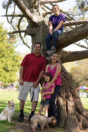 Roseville, California, dan strandt photography isoawesome.com wedding bride groom portrait family married Sacramento yuba folsom rancho elk grove
