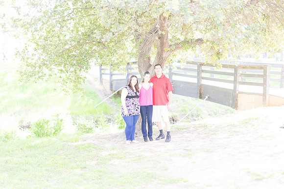 Roseville, California, dan strandt photography isoawesome.com wedding bride groom portrait family married Sacramento yuba folsom rancho elk grove