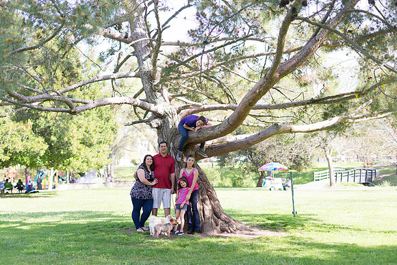 Roseville, California, dan strandt photography isoawesome.com wedding bride groom portrait family married Sacramento yuba folsom rancho elk grove