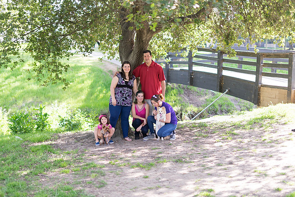 Roseville, California, dan strandt photography isoawesome.com wedding bride groom portrait family married Sacramento yuba folsom rancho elk grove
