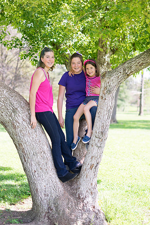 Roseville, California, dan strandt photography isoawesome.com wedding bride groom portrait family married Sacramento yuba folsom rancho elk grove