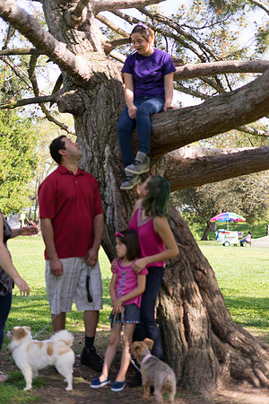 Roseville, California, dan strandt photography isoawesome.com wedding bride groom portrait family married Sacramento yuba folsom rancho elk grove