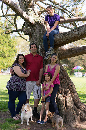 Roseville, California, dan strandt photography isoawesome.com wedding bride groom portrait family married Sacramento yuba folsom rancho elk grove