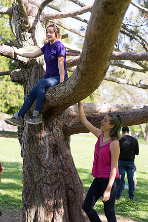 Roseville, California, dan strandt photography isoawesome.com wedding bride groom portrait family married Sacramento yuba folsom rancho elk grove