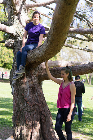 Roseville, California, dan strandt photography isoawesome.com wedding bride groom portrait family married Sacramento yuba folsom rancho elk grove